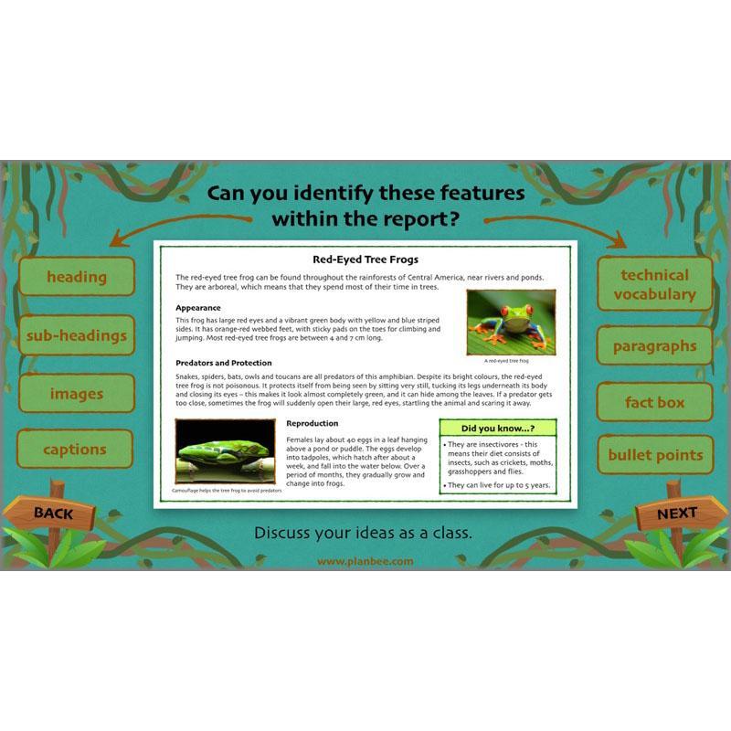 Lost in the Rainforest: Non-chronological Reports - Image 9