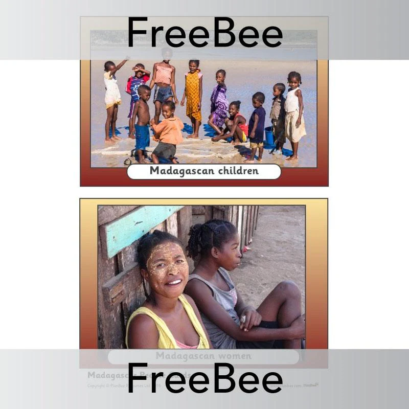 Madagascar Picture Cards - Image 11