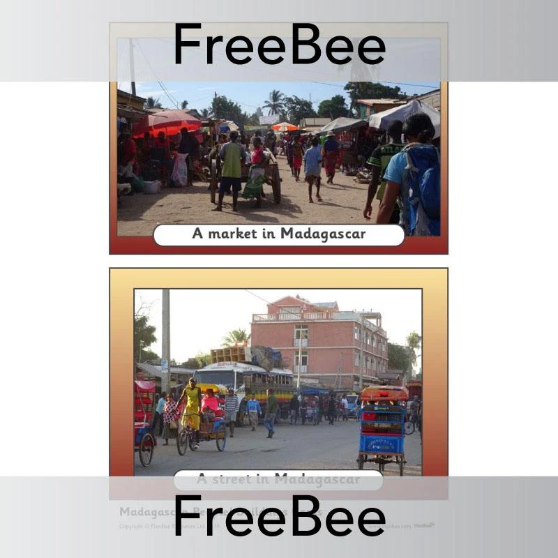Madagascar Picture Cards - Image 2