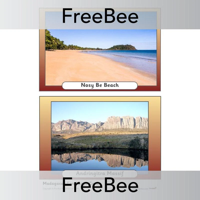 Madagascar Picture Cards - Image 5