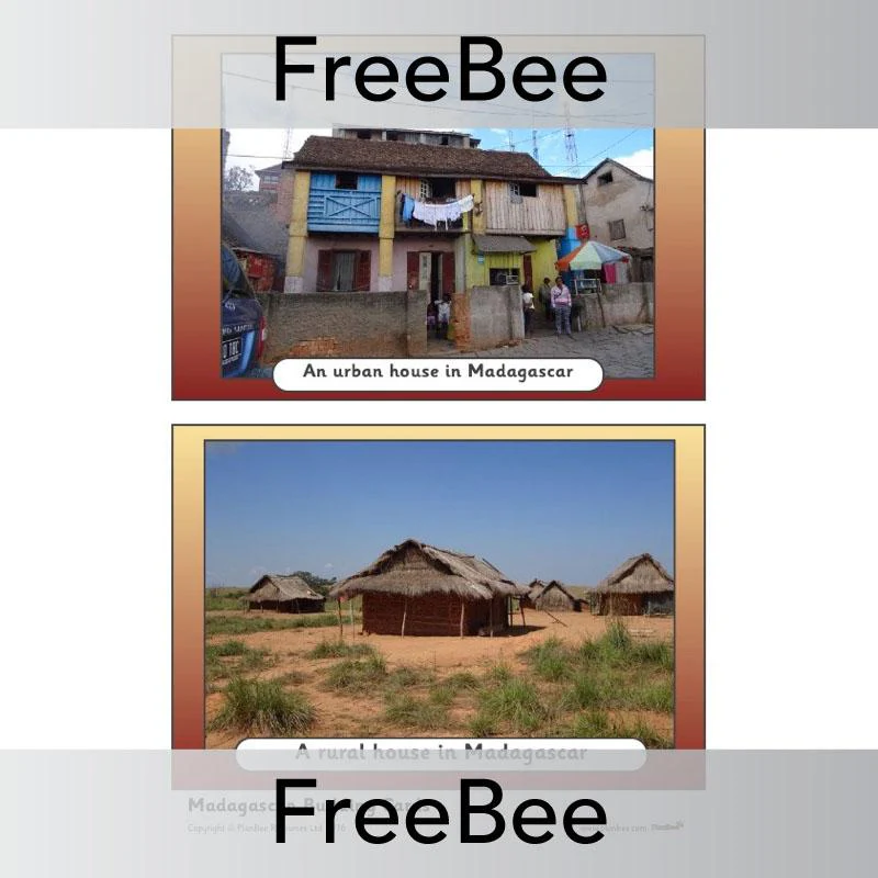 Madagascar Picture Cards - Image 6