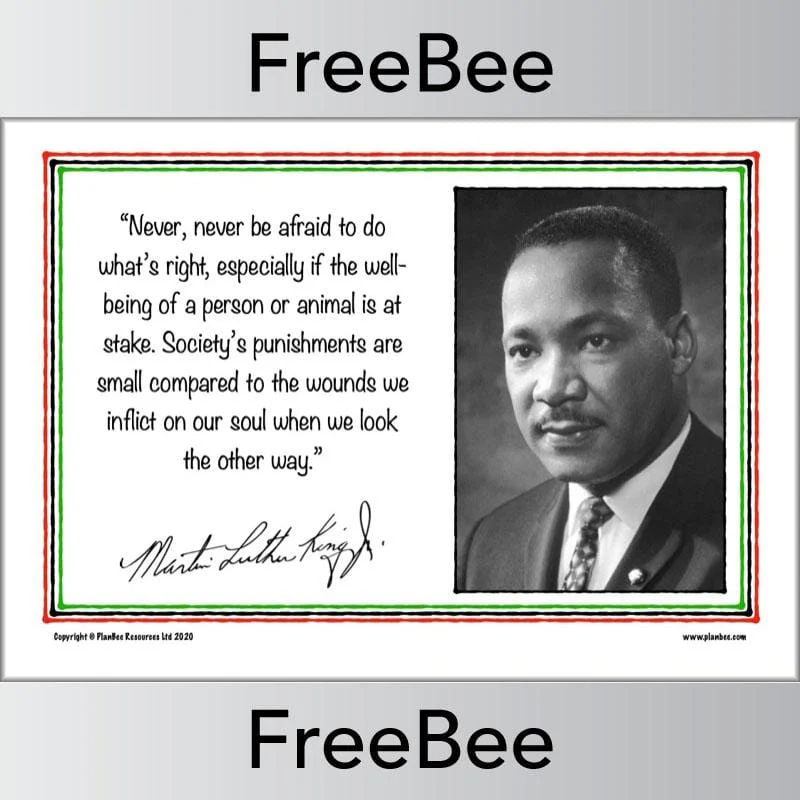Martin Luther King KS2 Quotes Posters - Image 6