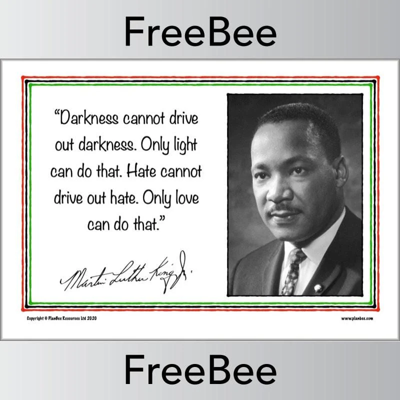 Martin Luther King KS2 Quotes Posters - Image 8