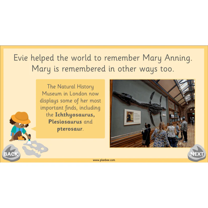 Mary Anning KS1 - Image 11