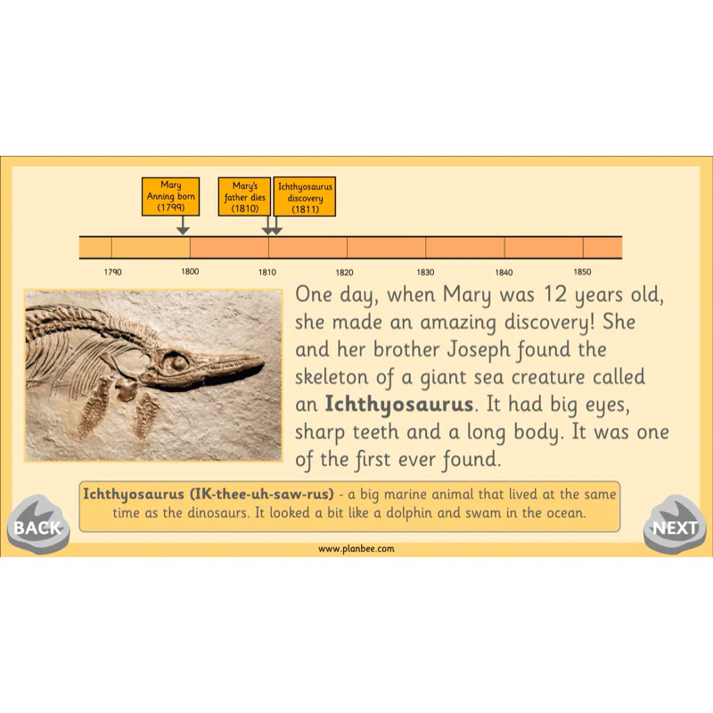 Mary Anning KS1 - Image 29