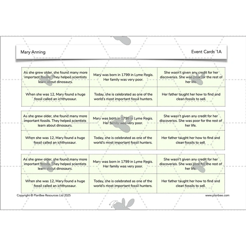 Mary Anning KS2 - Image 8