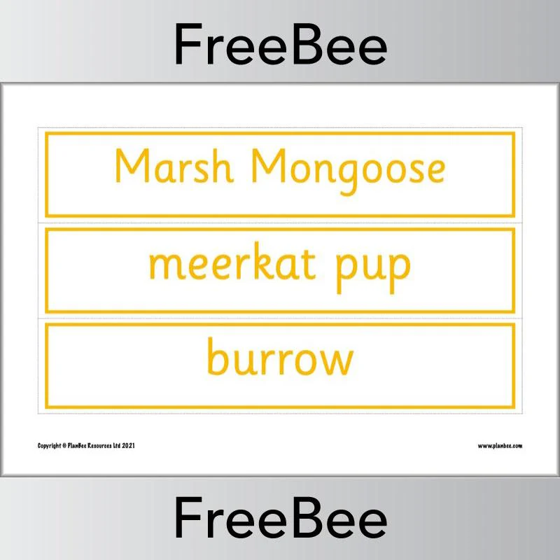 Meerkat Mail Display Pack - Image 16