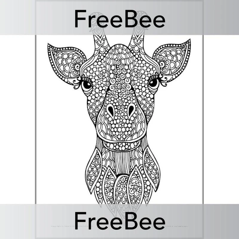 Mindfulness Colouring Sheets: Animals - Image 3