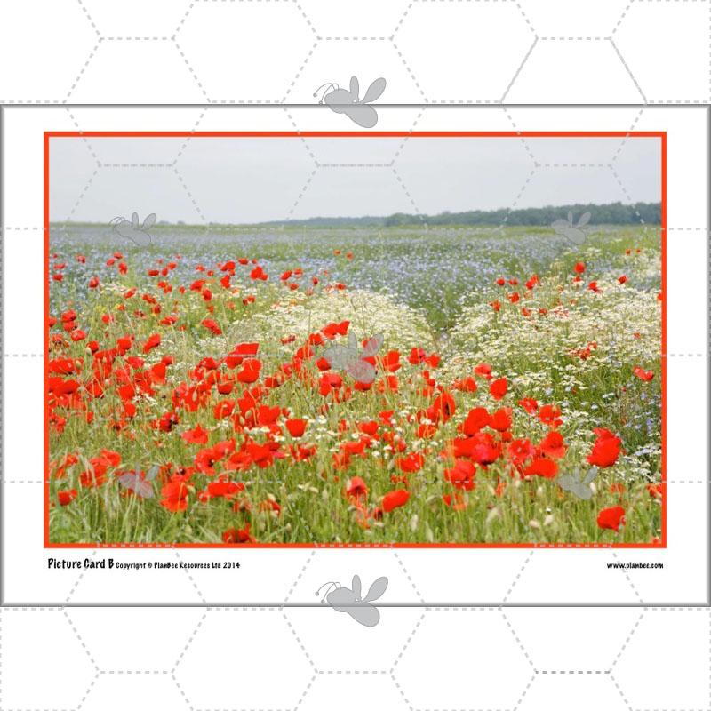 Monet and the Impressionists - Image 13