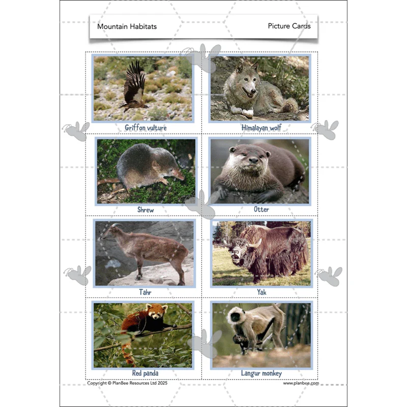 Mountain Habitats - Image 14