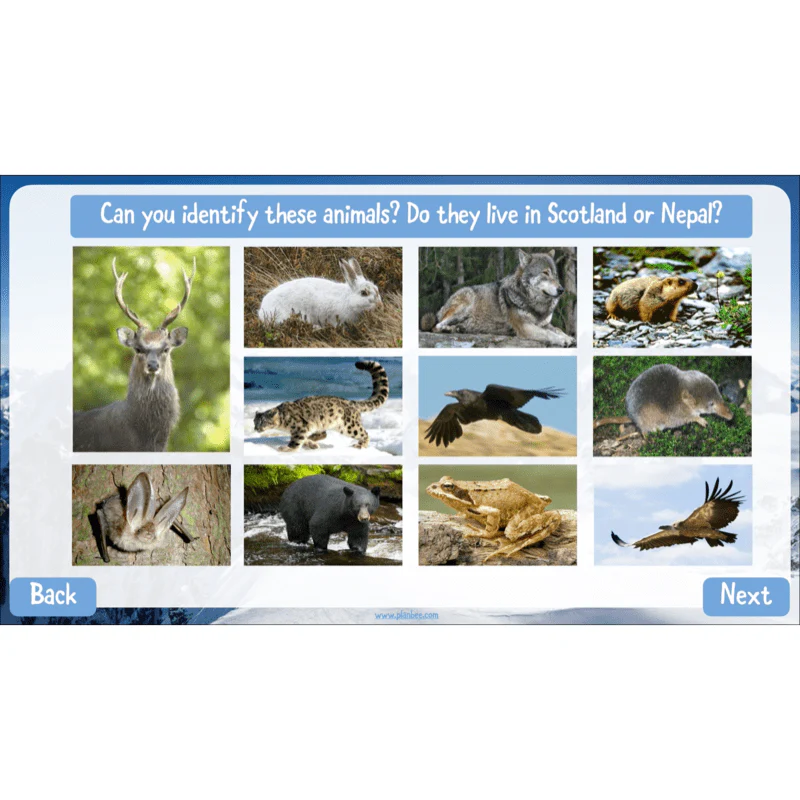 Mountain Habitats - Image 32
