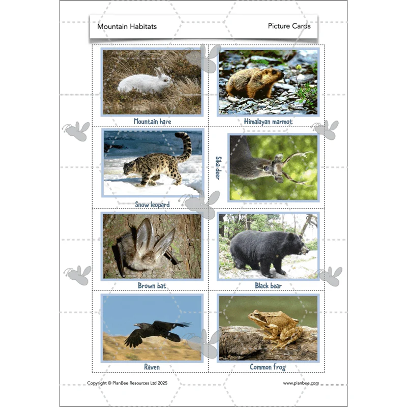Mountain Habitats - Image 35