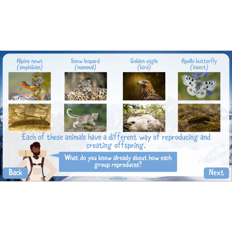 Mountain Habitats - Image 45