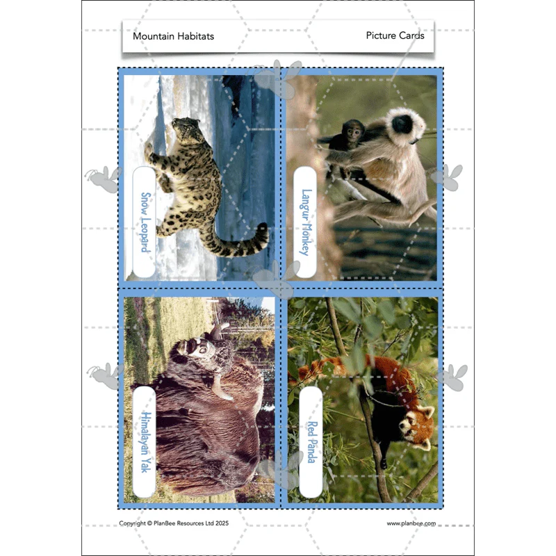 Mountain Habitats - Image 58