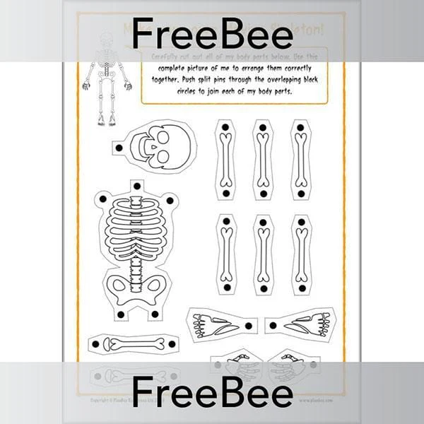 Moveable Skeleton Template