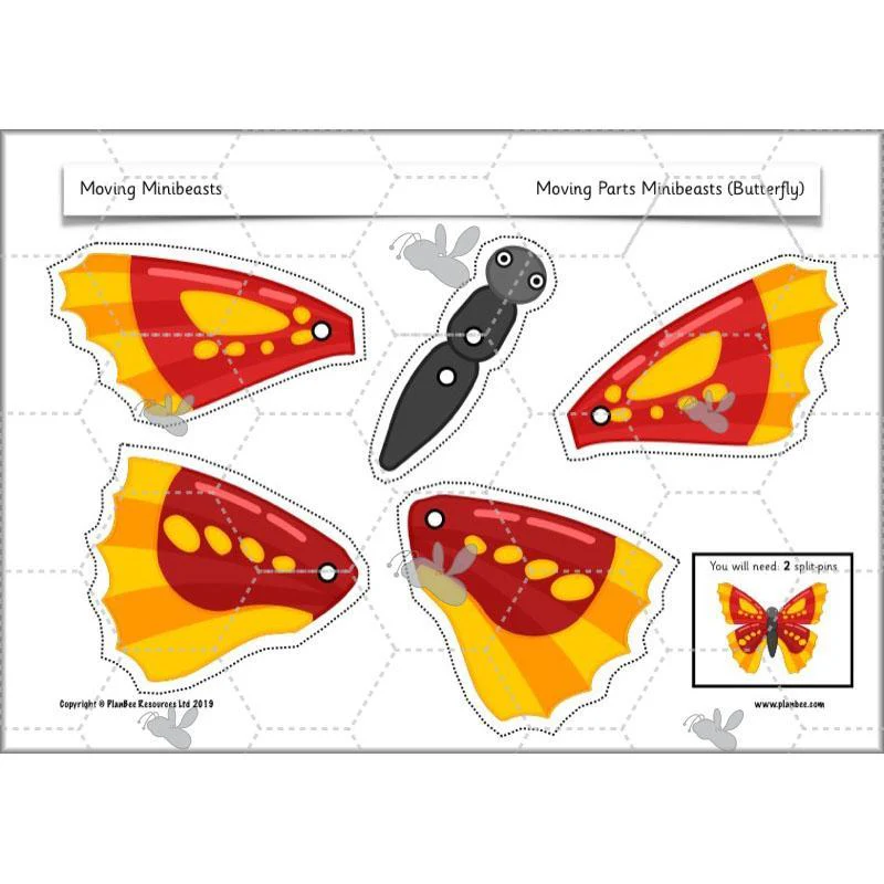 Moving Minibeasts - Image 17