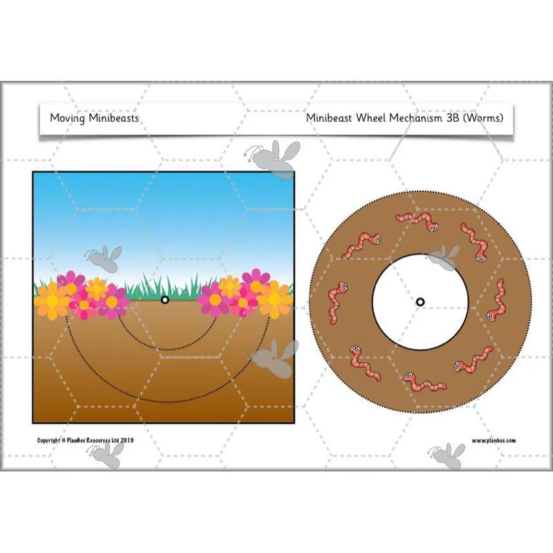 Moving Minibeasts - Image 18
