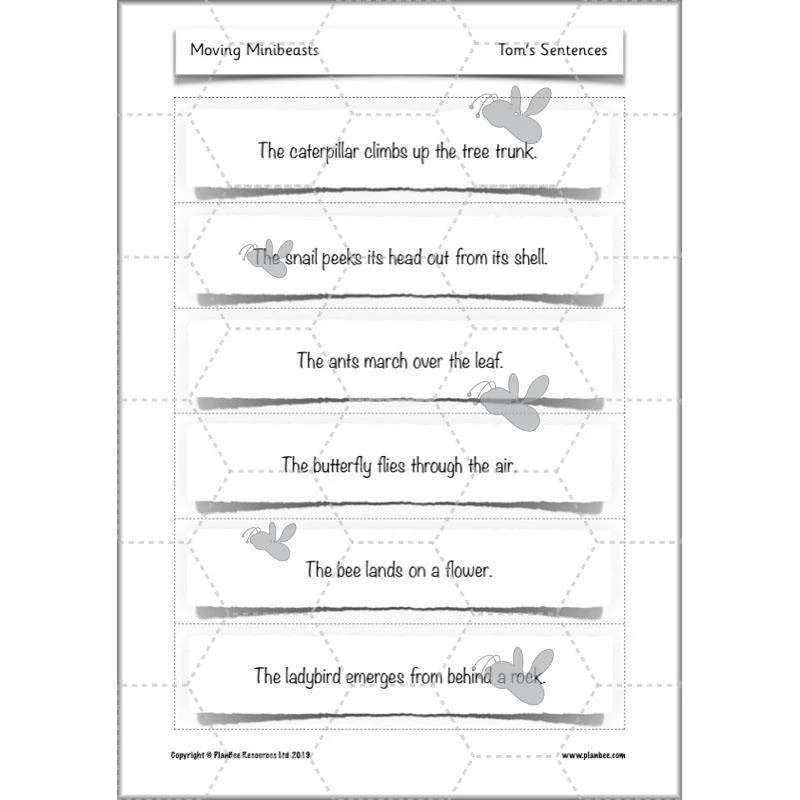 Moving Minibeasts - Image 19