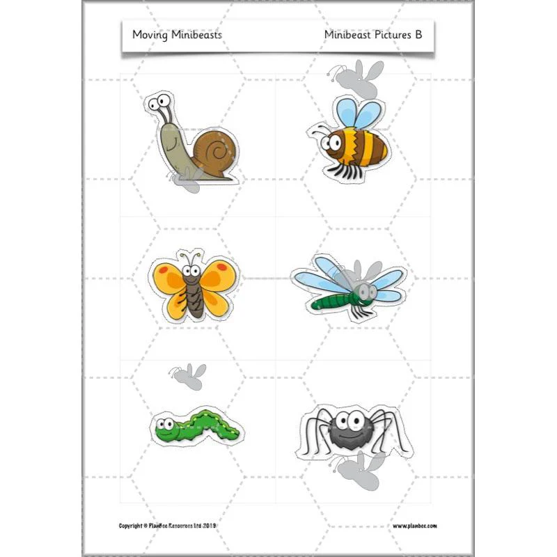 Moving Minibeasts - Image 30