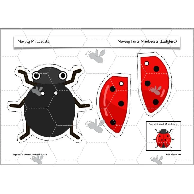 Moving Minibeasts - Image 40
