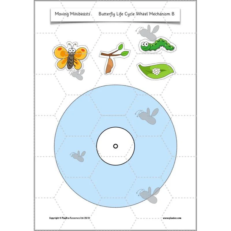 Moving Minibeasts - Image 48