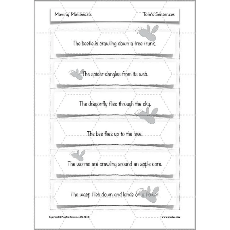 Moving Minibeasts - Image 55