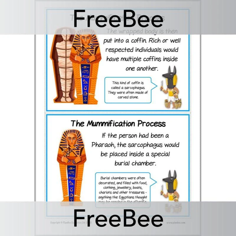 Mummification KS2 Process Cards - Image 4