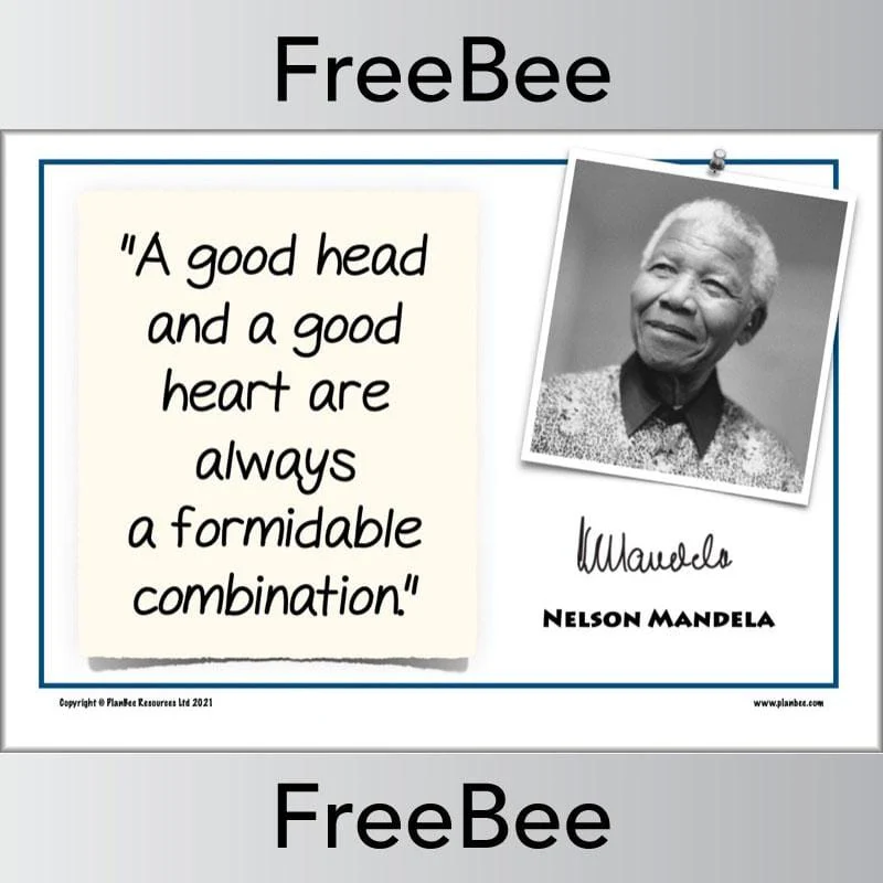 Nelson Mandela Poster Quotes - Image 4