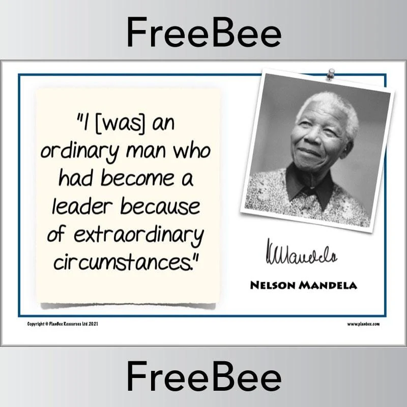Nelson Mandela Poster Quotes - Image 5