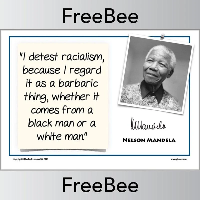 Nelson Mandela Poster Quotes - Image 6