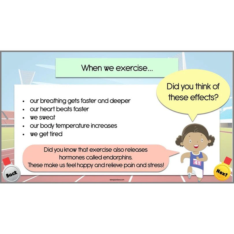 The Olympics Year 5/6 - Image 7