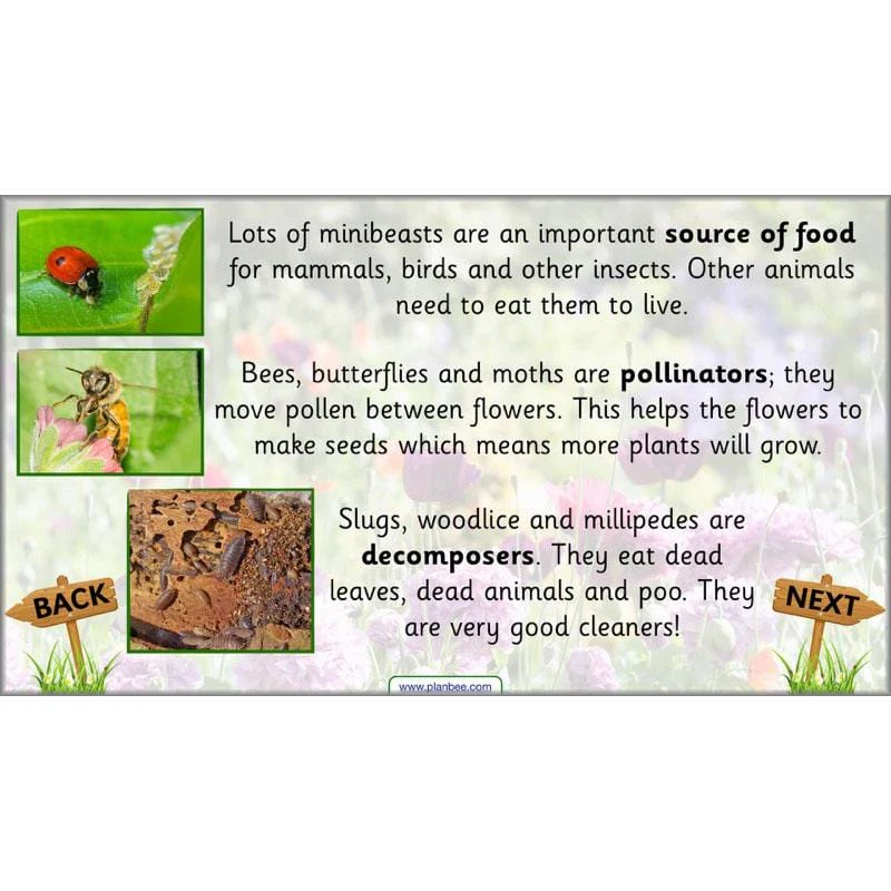 Pets and Gardens - Image 11