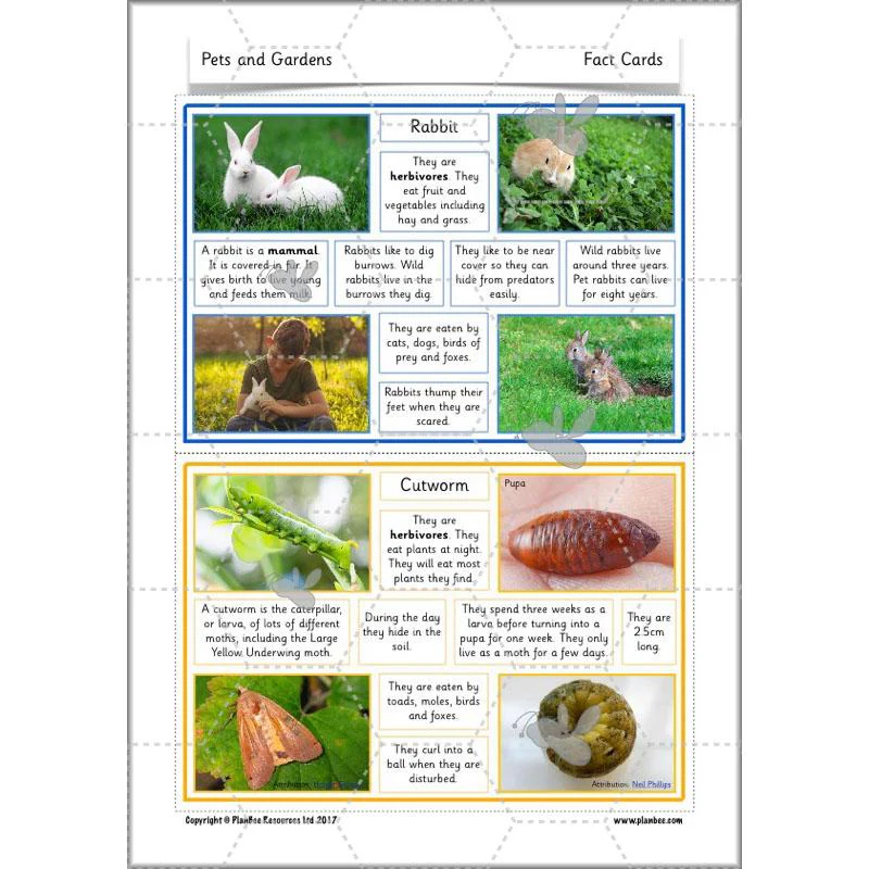 Pets and Gardens - Image 16