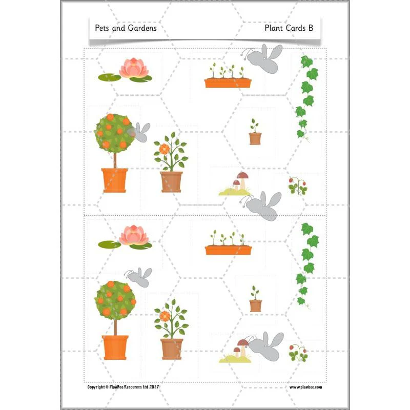 Pets and Gardens - Image 19