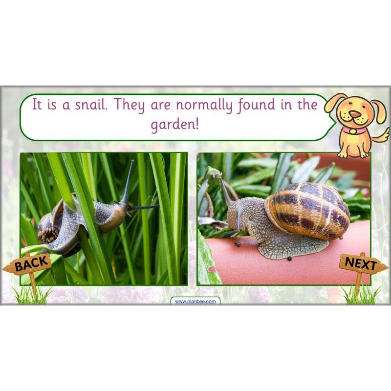 Pets and Gardens - Image 4
