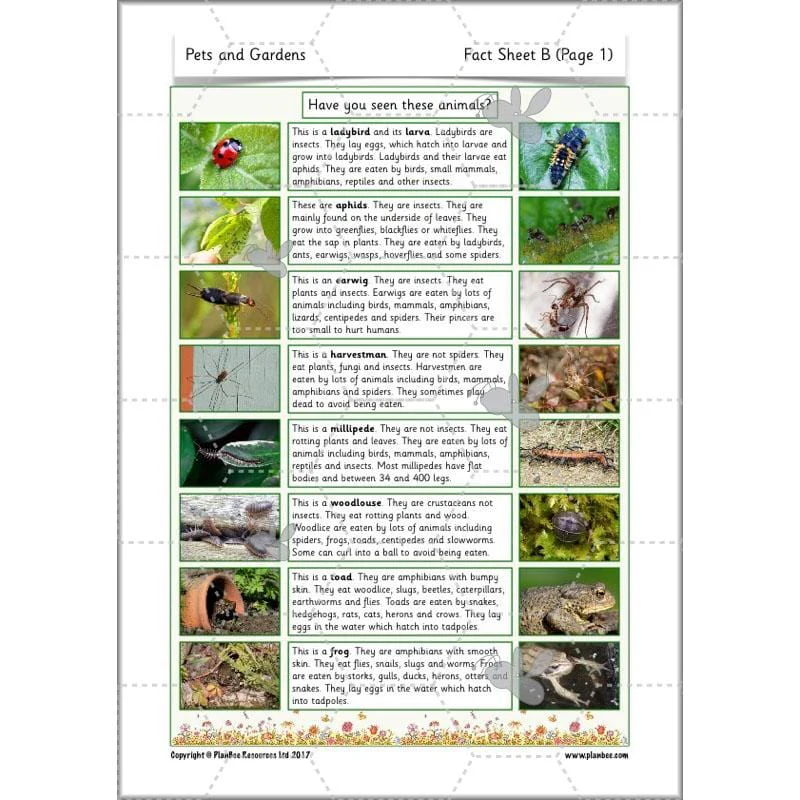 Pets and Gardens - Image 52