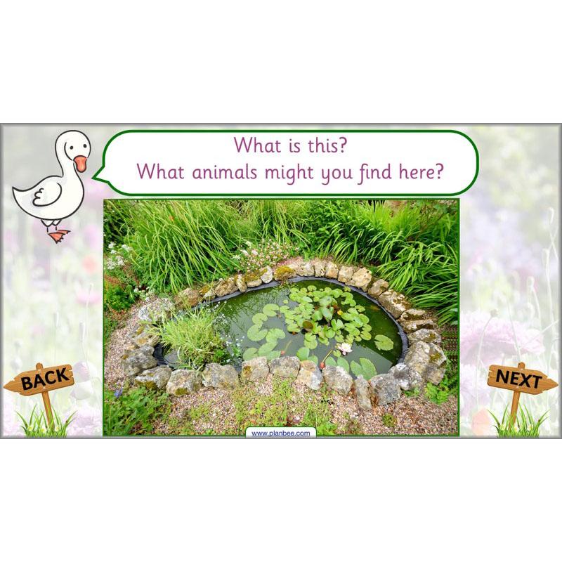 Pets and Gardens - Image 54