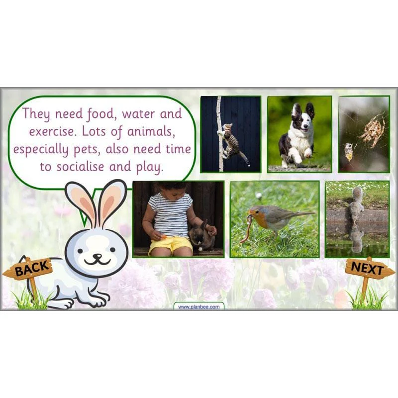 Pets and Gardens - Image 62