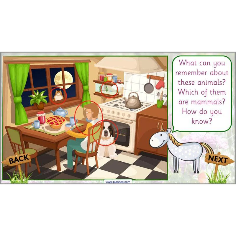 Pets and Gardens - Image 9