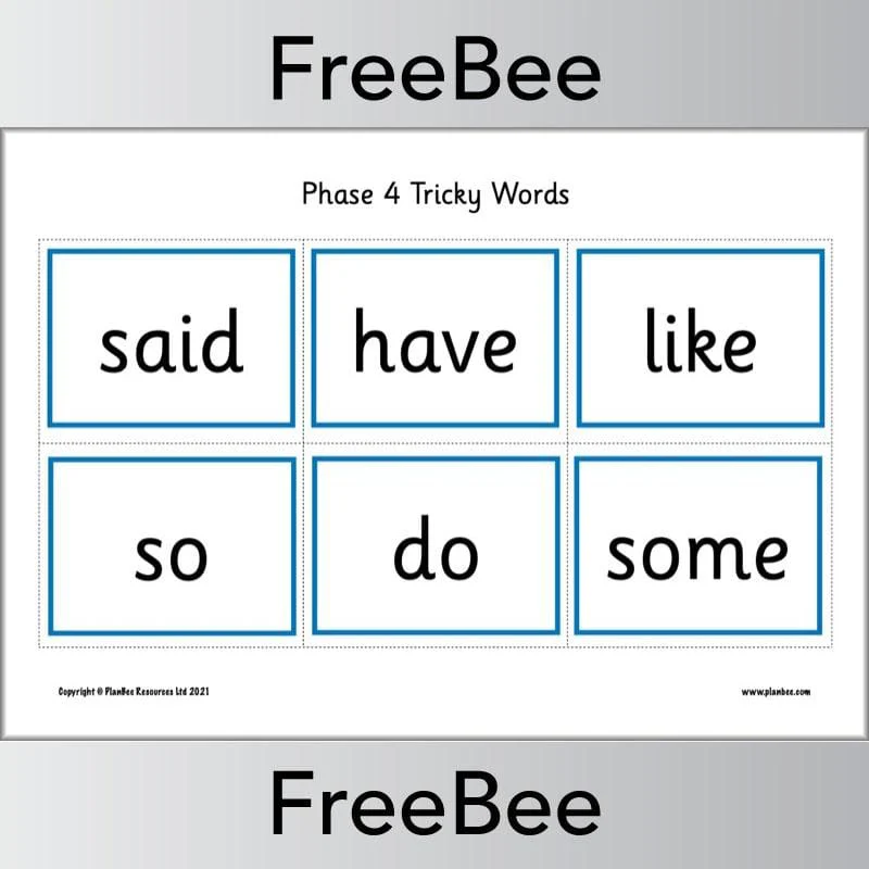 Phase 4 Tricky Words Flash Cards - Image 2