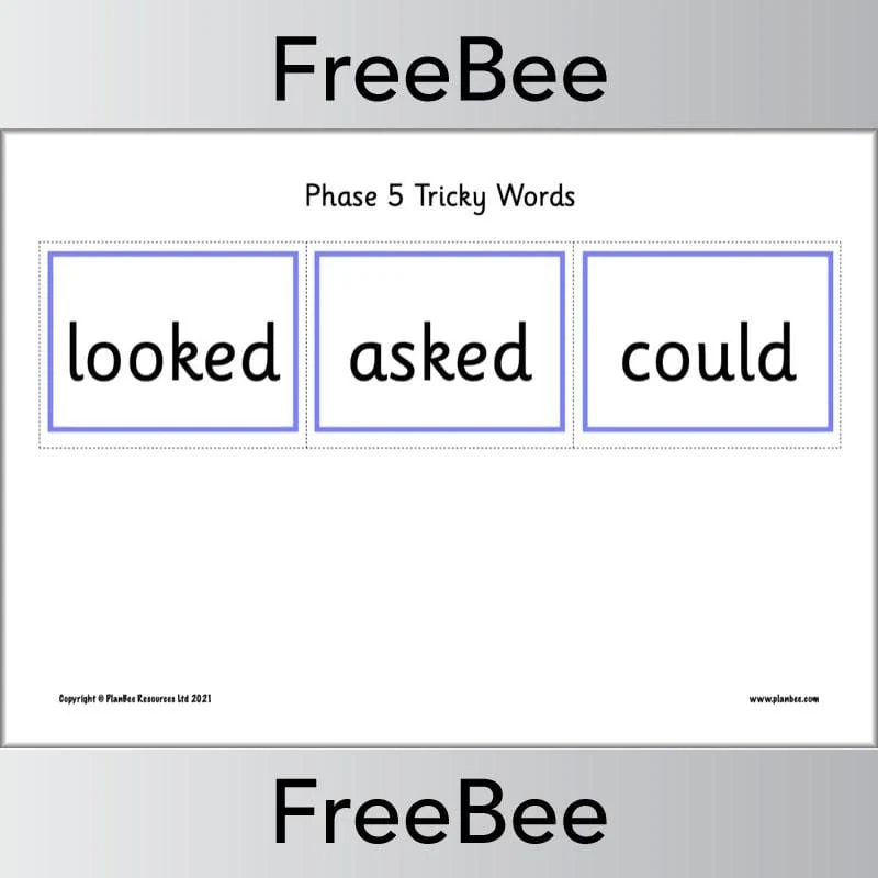 Phase 5 Tricky Words Flash Cards - Image 2