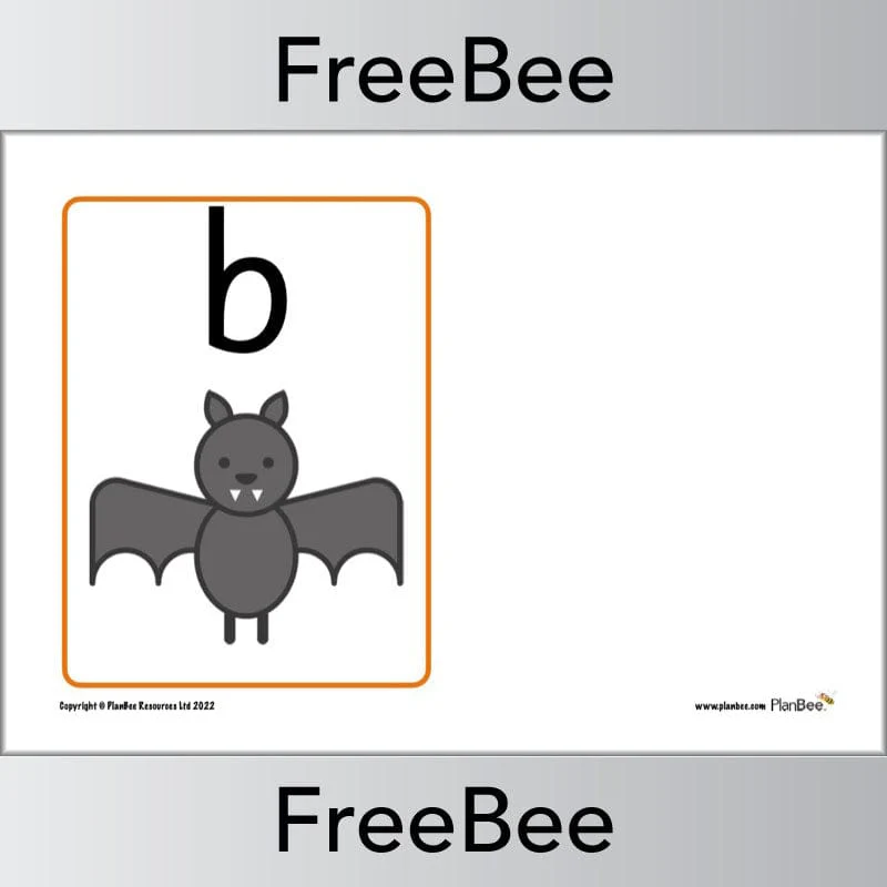 Phonics Flashcards - Image 10