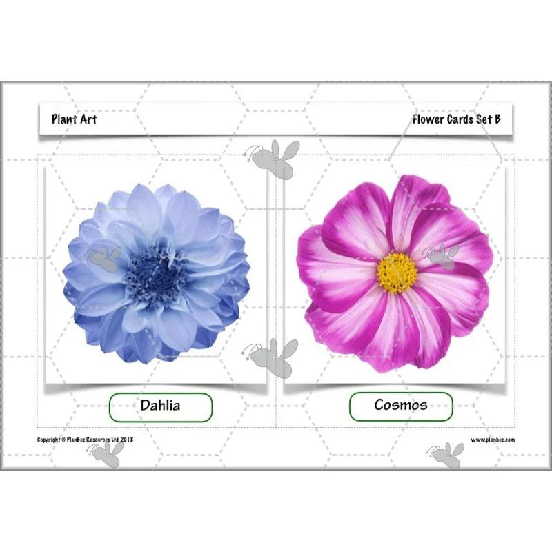 Plant Art - Image 18
