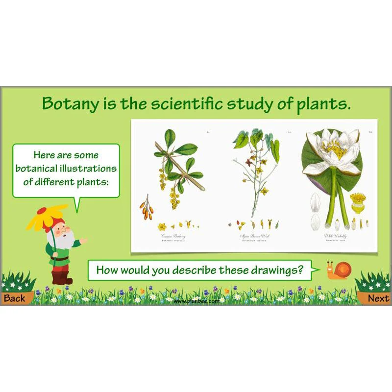 Plant Art - Image 33