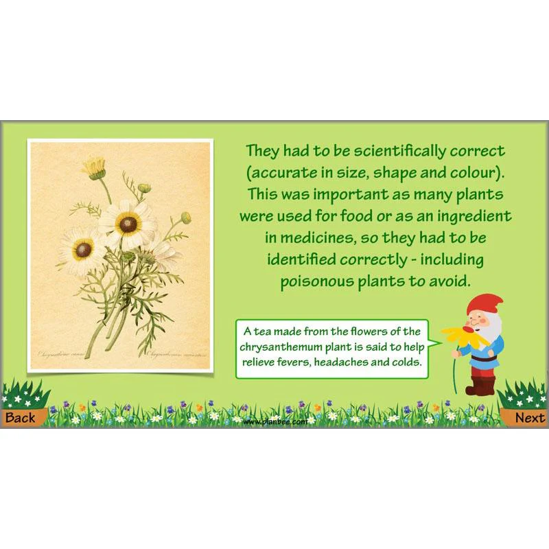 Plant Art - Image 34