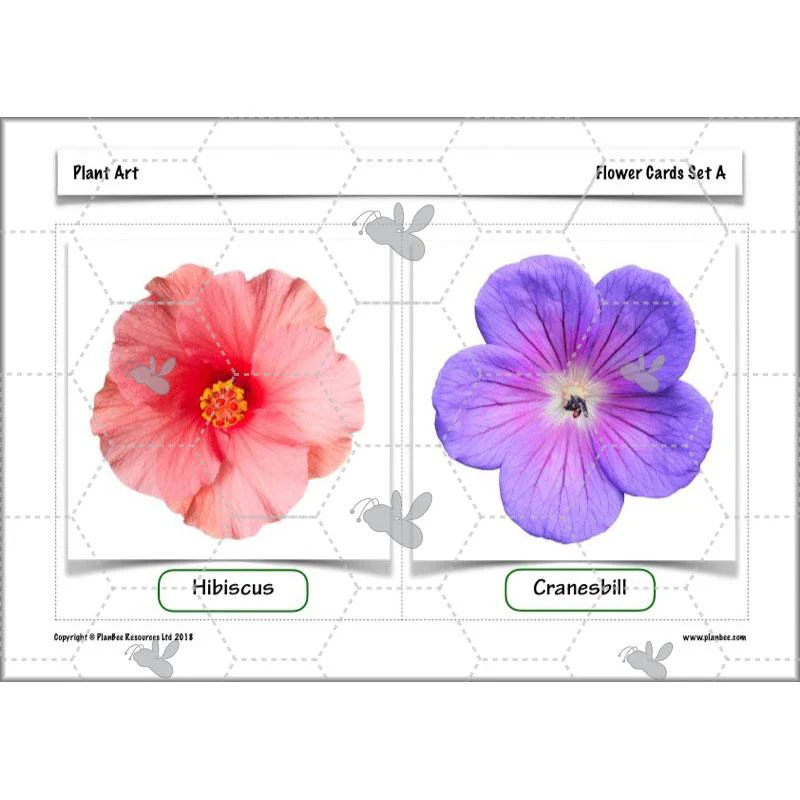 Plant Art - Image 45