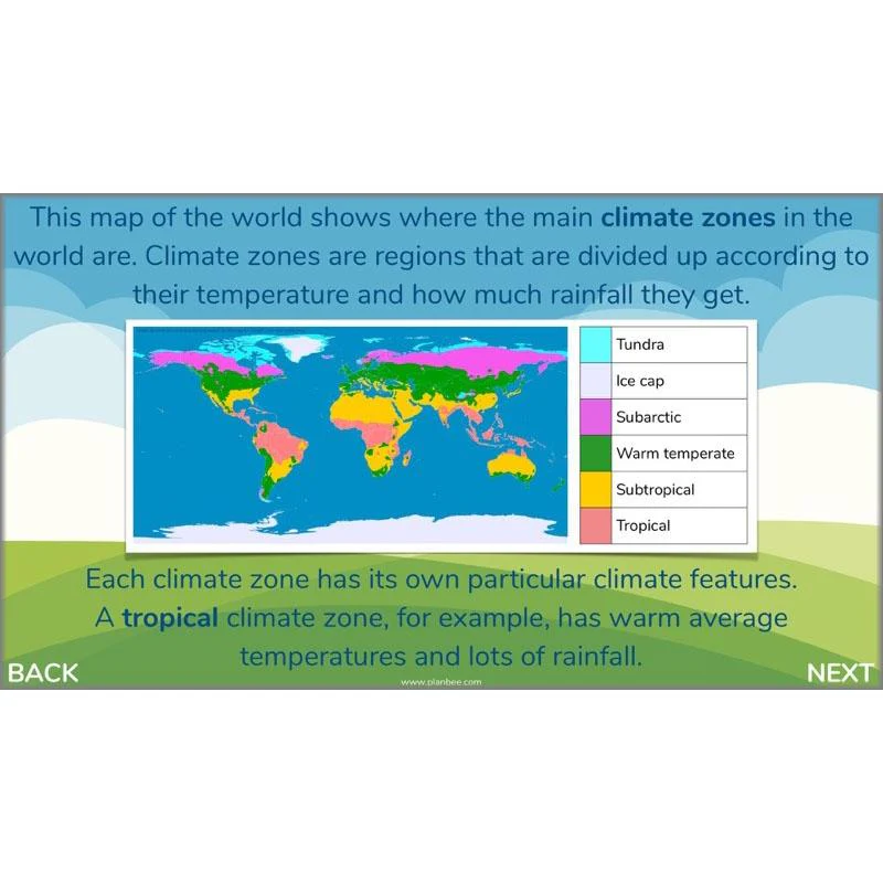 Plants of the World - Image 14