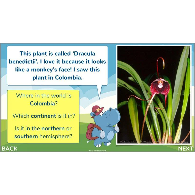 Plants of the World - Image 24