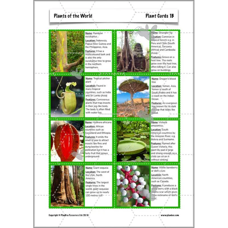 Plants of the World - Image 28