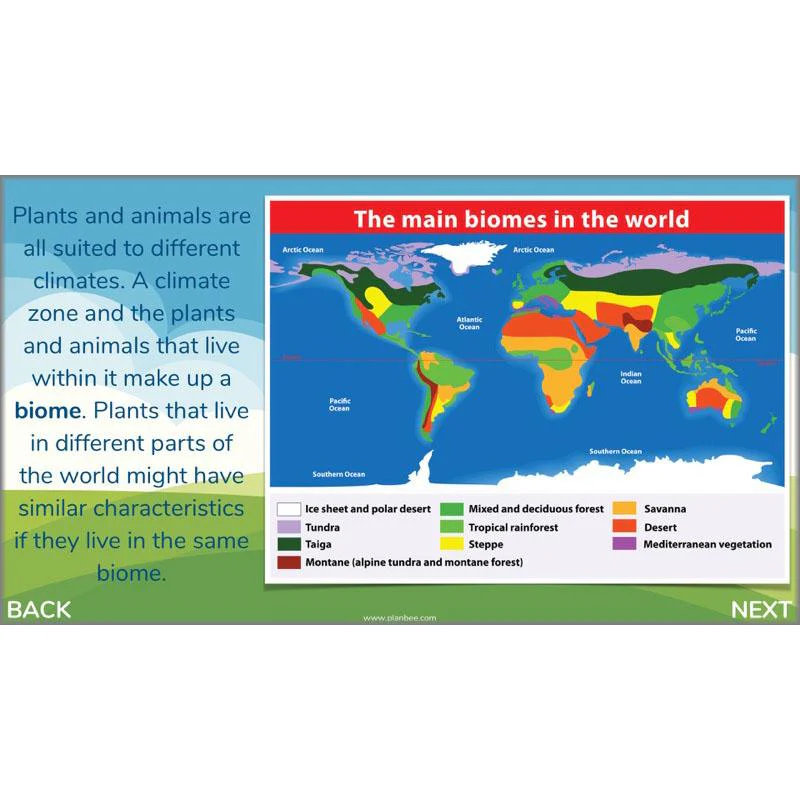Plants of the World - Image 32